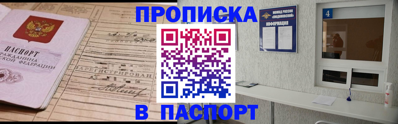 временная регистрация в Павловске